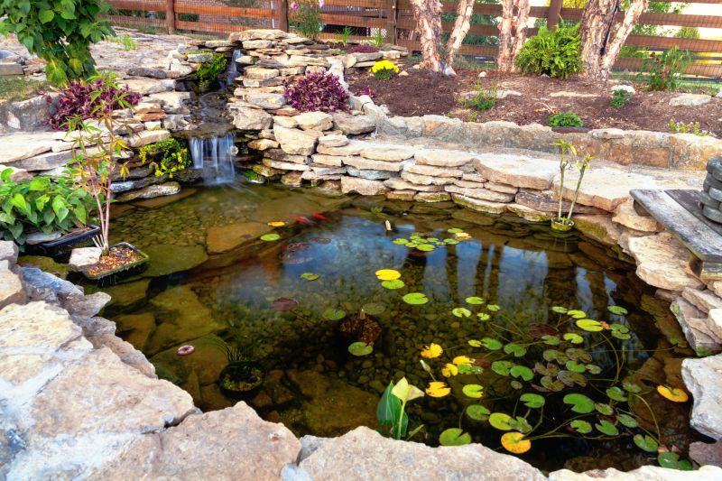 Finished Fish Pond with Vegetation