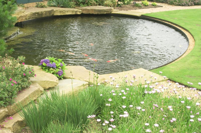 Finished Fish Pond with Landscaping